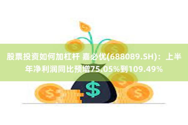 股票投资如何加杠杆 嘉必优(688089.SH)：上半年净利润同比预增75.05%到109.49%