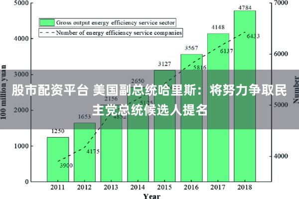 股市配资平台 美国副总统哈里斯：将努力争取民主党总统候选人提名