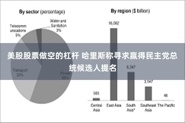 美股股票做空的杠杆 哈里斯称寻求赢得民主党总统候选人提名