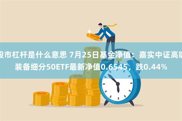 股市杠杆是什么意思 7月25日基金净值：嘉实中证高端装备细分50ETF最新净值0.6545，跌0.44%