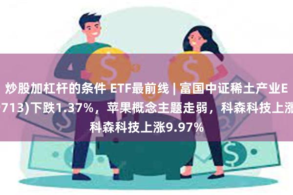 炒股加杠杆的条件 ETF最前线 | 富国中证稀土产业ET