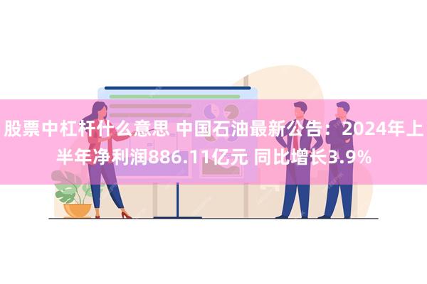 股票中杠杆什么意思 中国石油最新公告：2024年上半年净利润