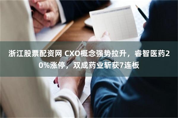 浙江股票配资网 CXO概念强势拉升，睿智医药20%涨停，双成