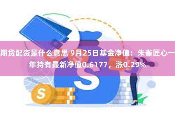 期货配资是什么意思 9月25日基金净值：朱雀匠心一年持有最新净值0.6177，涨0.29%