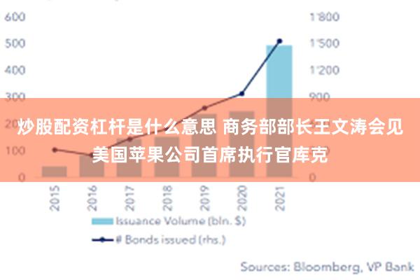 炒股配资杠杆是什么意思 商务部部长王文涛会见美国苹果公司首席执行官库克