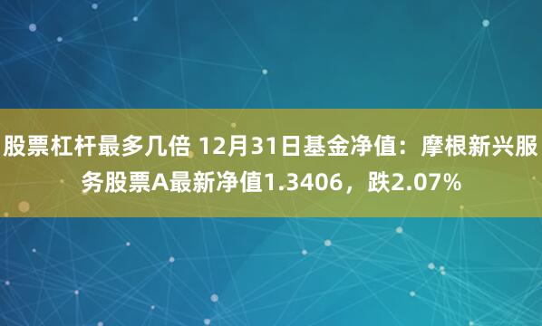 股票杠杆最多几倍 12月31日基金净值：摩根新兴服务股票A最新净值1.3406，跌2.07%