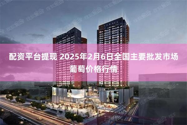 配资平台提现 2025年2月6日全国主要批发市场葡萄价格行情