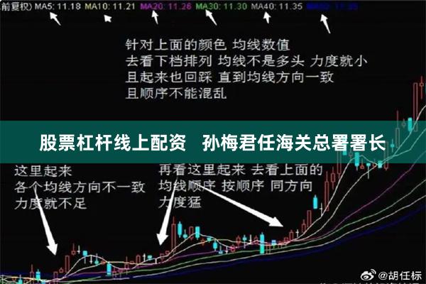 股票杠杆线上配资   孙梅君任海关总署署长