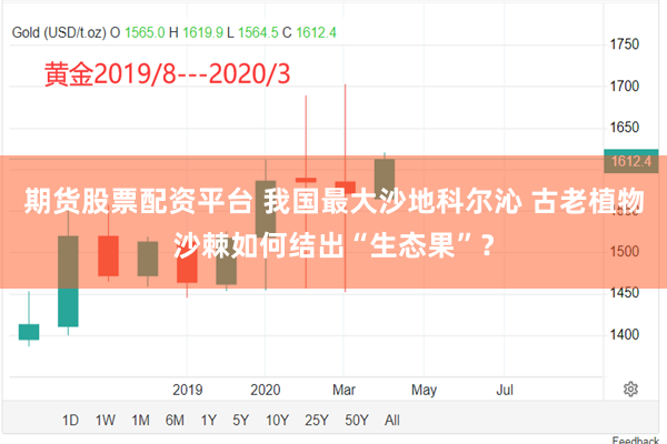 期货股票配资平台 我国最大沙地科尔沁 古老植物沙棘如何结出“生态果”？