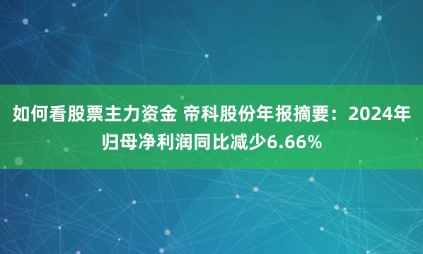 如何看股票主力资金 帝科股份年报摘要：2024年归母净利润同比减少6.66%