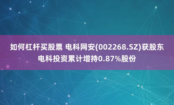 如何杠杆买股票 电科网安(002268.SZ)获股东电科投资累计增持0.87%股份