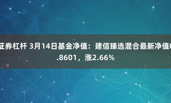 证券杠杆 3月14日基金净值：建信臻选混合最新净值0.8601，涨2.66%